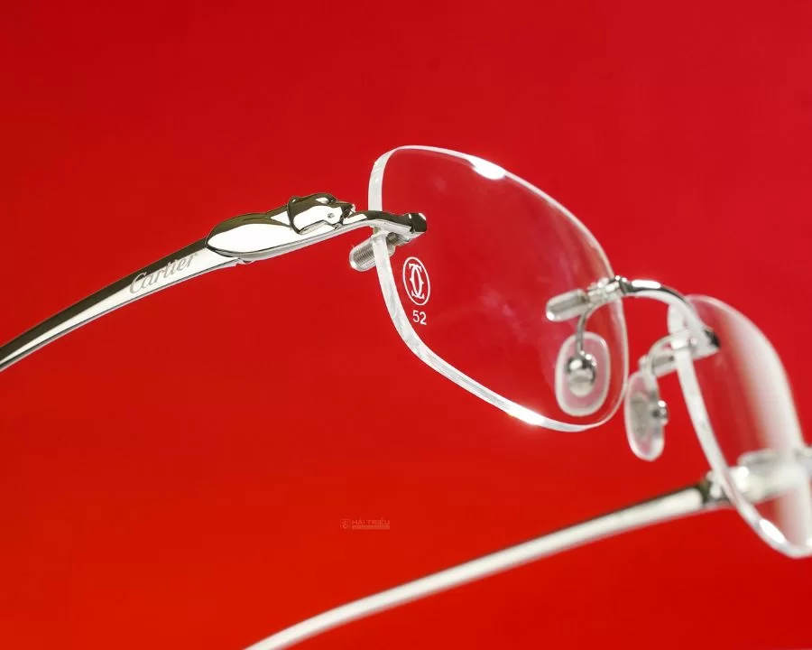 Mắt kính Panthère de Cartier T8100912_CT0058O_003 chính hãng 100% - Ảnh 4