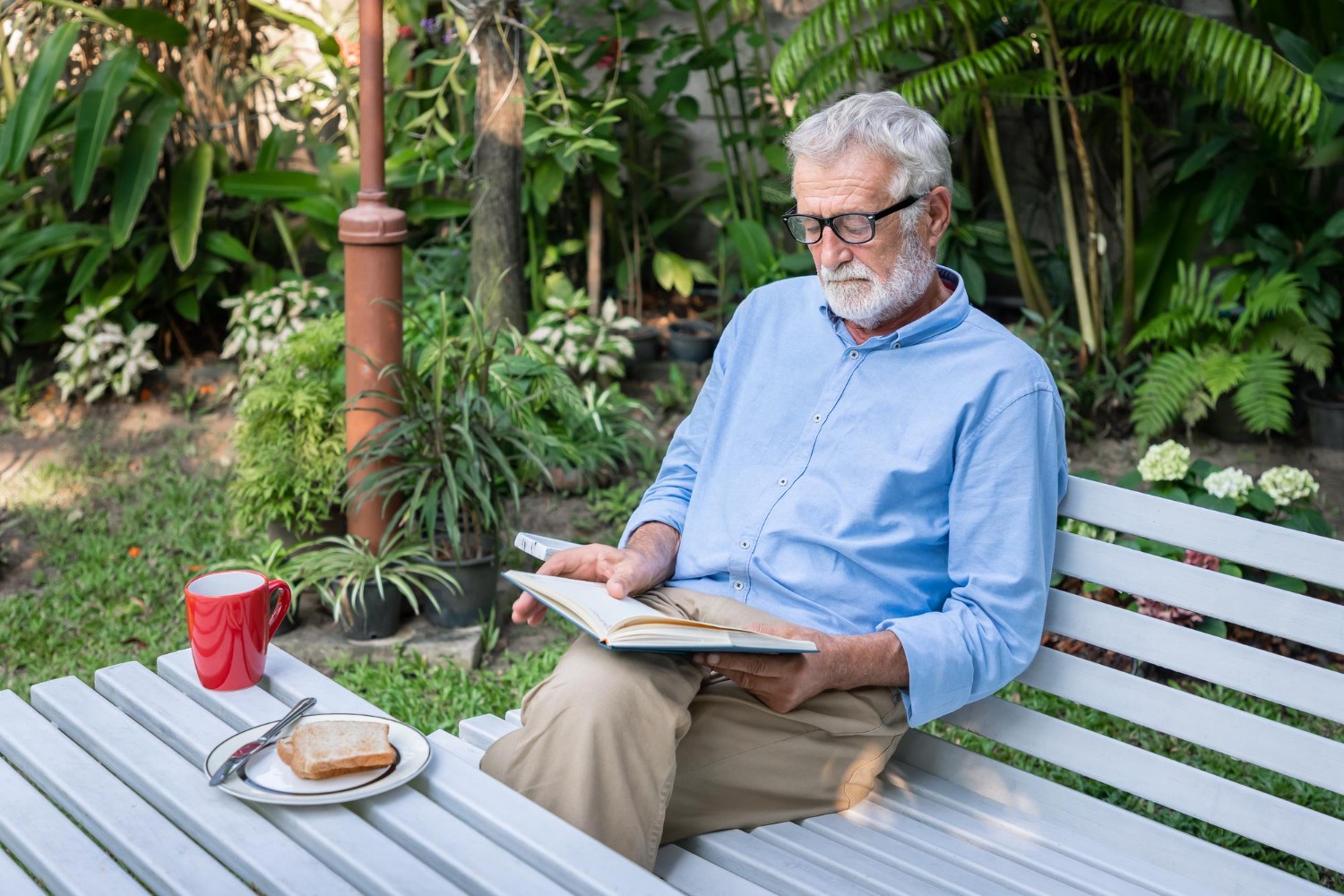 senior elderly man reading book with breakfast mug coffee garden