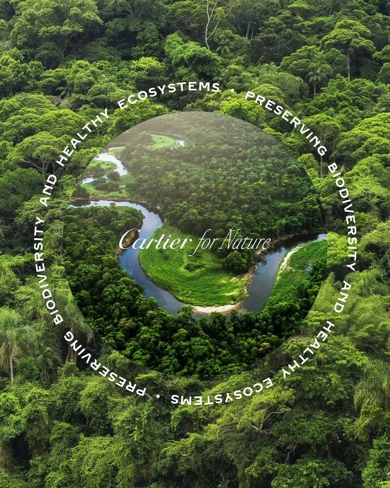 Cartier Signature C de Nam - Gọng kính Sừng trâu, Mạ vàng - Mã EYE00079_CT0049O_001 (13) cartier bao ve moi truong