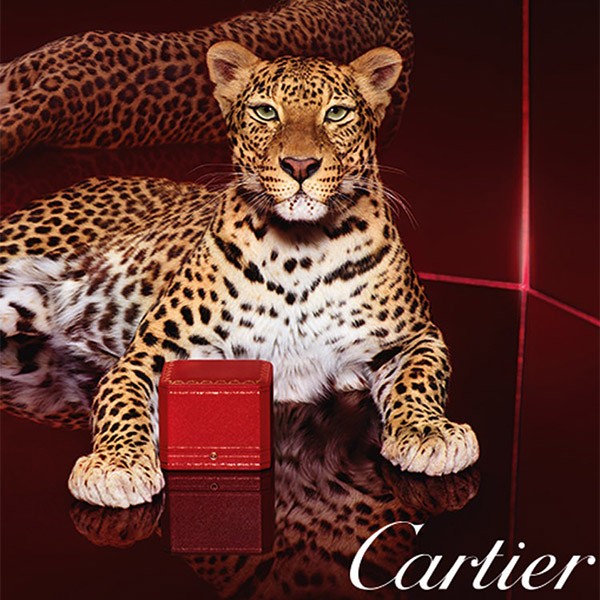 Mắt kính Cartier T8101093_CT0087O_003 chính hãng 100% - Ảnh 6