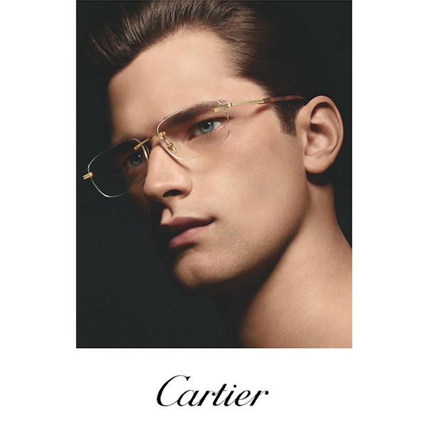 Mắt kính Cartier T8101093_CT0087O_003 chính hãng 100% - Ảnh 7