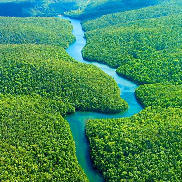 Mắt kính Chopard SCHD44S_08FC chính hãng 100% - Ảnh 8