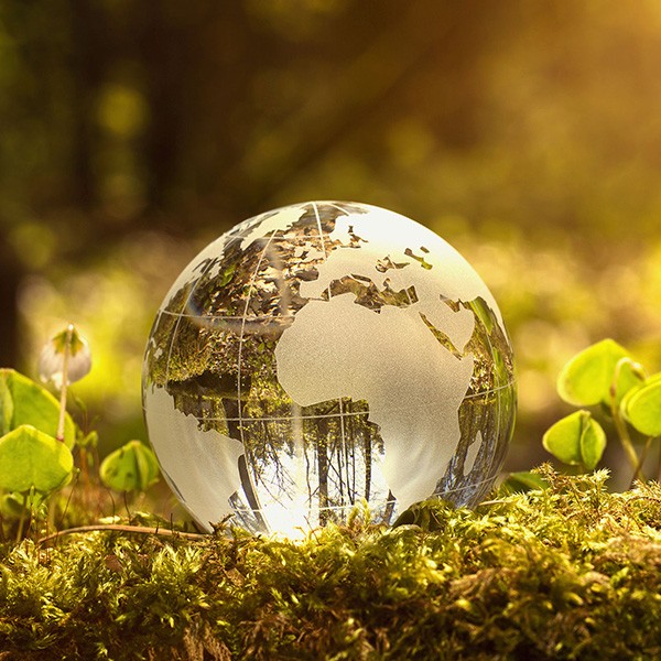 Chopard Nữ - Gọng kính Nhựa - Chống tia UV - Mã SCH234S_0700 (10) Mắt kính Chopard SCH234S_0700 chính hãng 100% - Ảnh 7