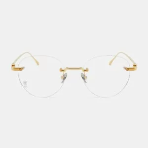 Mắt kính Cartier CT0342O_002 chính hãng 100% - Ảnh 2