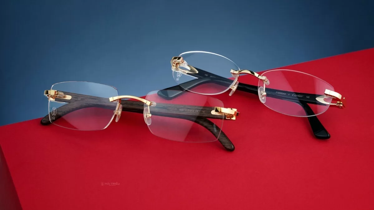 Cartier Signature C Unisex - Gọng kính Nhựa - Kim loại - Mã CT0318O_001 (5) Bộ sưu tập Signature de Cartier nổi tiếng của nhà mốt