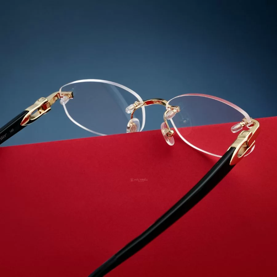 Cartier Signature C Unisex - Gọng kính Nhựa - Kim loại - Mã CT0318O_001 (7) Nhựa và kim loại là hai chất liệu chính trên chiếc kính này