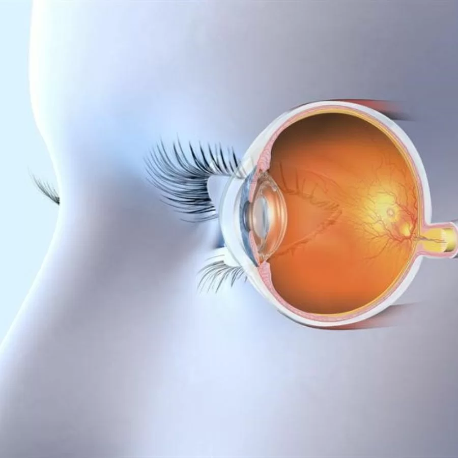 Mổ mắt có bị cận lại không? Cách chăm sóc để tránh tái cận (5) Cấu trúc mắt tự nhiên của con người khác nhau