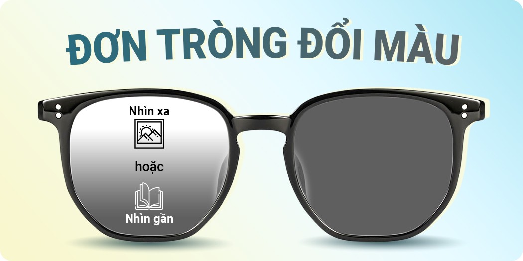 Đơn tròng đổi màu bền, đẹp, chính hãng 100%