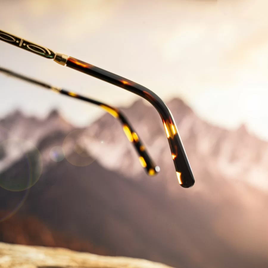 Đuôi kính màu đồi mồi tăng thêm phần thời trang cho tổng thể