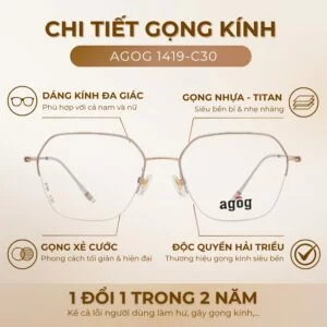Chi tiết gọng kính Agog 1419-C30 chính hãng 100%