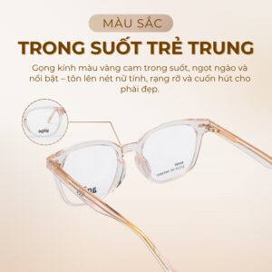 Agog Nữ - Gọng kính Nhựa - Mã 7106AGMK-C4 (3) Màu gọng kính Agog 7106AGMK-C4