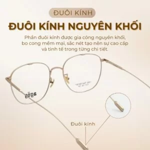 Agog Unisex - Gọng kính Kim loại - Mã TiS10012GTGSK-GD (3) Đuôi kính Agog TiS10012GTGSK-GD chính hãng 100%