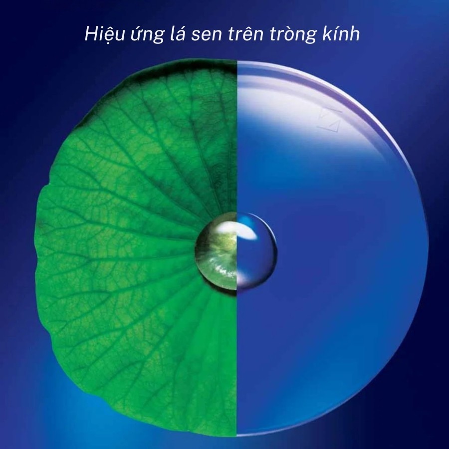 Zeiss DuraVision là gì? Công nghệ váng phủ hàng đầu của Đức (4) Công nghệ Clean Coat cho phép tròng kính Zeiss tạo ra hiệu ứng lá sen