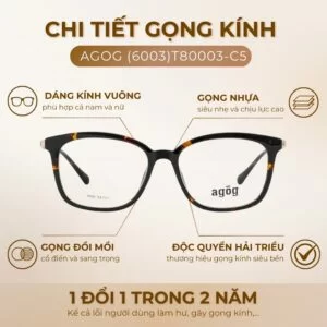 Chi tiết gọng kính Agog (6003)T80003-C5