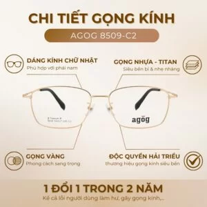 Chi tiết gọng kính Agog 8509-C2 chính hãng 100%