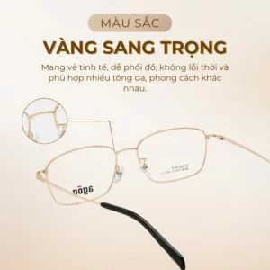 Agog Nam - Gọng kính Nhựa, Titanium - Mã 8509-C2 (3) Gọng kính Agog 8509-C2 sở hữu màu vàng sang trọng