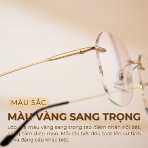 Màu sắc vàng sang trọng