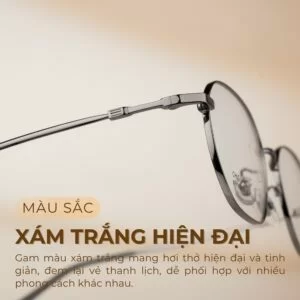 Màu sắc xám trắng hiện đại