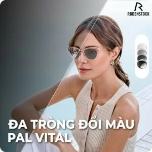 Kính đa tròng đổi màu Rodenstock Pal Vital