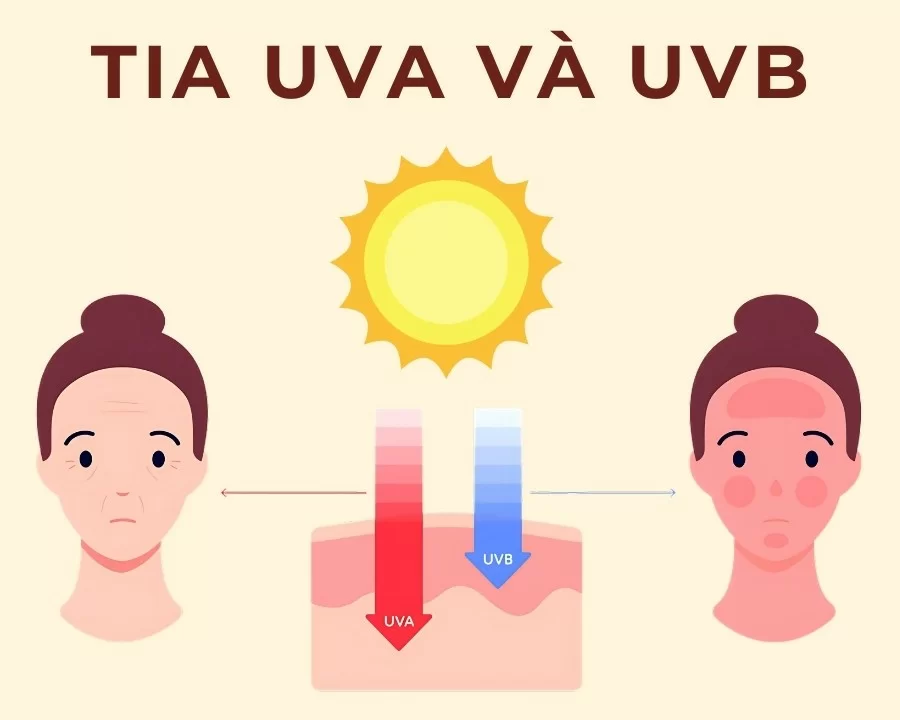 Tia UVA và UVB là gì? Sự khác nhau và tác hại của UVA và UVB (1) Tia UVA và UVB là gì? Sự khác nhau và tác hại của UVA và UVB