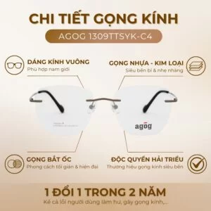 Chi tiết gọng kính Agog 1309TTSYK-C4 chính hãng 100%