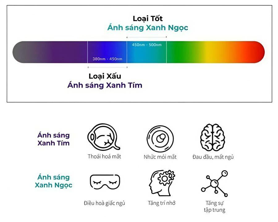 3 Cách test kính chống ánh sáng xanh bằng điện thoại siêu dễ (4) Biểu đồ tác dụng của ánh sáng xanh tím và ánh sáng xanh ngọc