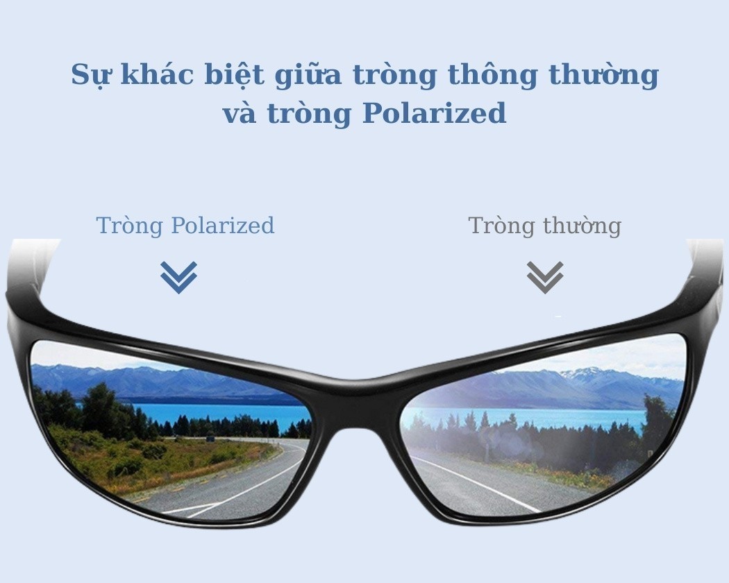 Sự khác biệt giữa tròng kính phân cực và tròng kính thường