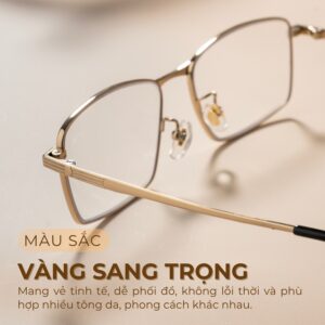 Màu gọng kính Agog 21142B-C2