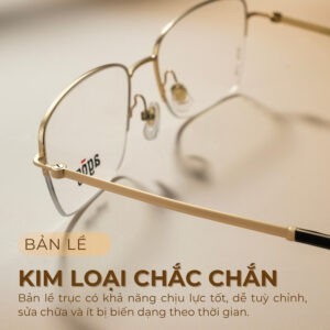 Agog Nam - Gọng kính Nhựa, Titanium - Mã 3119-C18 (3) Gọng kính Agog 3119-C18 nổi bật với bản lề trục cố định chắc chắn