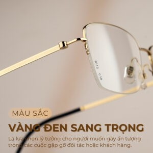 Agog Nam - Gọng kính Nhựa, Titanium - Mã 3119-C18 (4) Gọng kính Agog 3119-C18 vàng đen sang trọng là lựa chọn phổ biến cho các quý ông