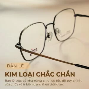 Gọng kính Agog 7106MDBK-C4 nổi bật với bản lề trục cố định chắc chắn