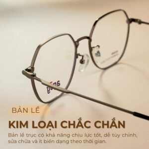 Gọng kính Agog 7616MHDK-C1 nổi bật với bản lề trục cố định chắc chắn