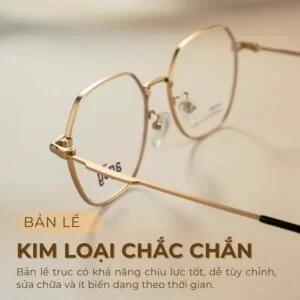 Gọng kính Agog 7616MHDK-C4 nổi bật với bản lề trục cố định chắc chắn