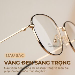 Agog Unisex - Gọng kính Kim Loại - Mã 8525MHHK-C2 (3) Màu sắc vàng đen sang trọng
