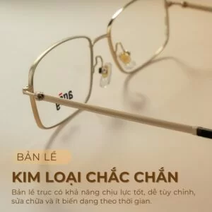 Agog Nam - Gọng kính Nhựa, Titanium - Mã 9019-C18 (3) Gọng kính Agog 9019-C18 nổi bật với bản lề trục cố định chắc chắn