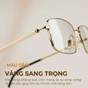 Agog Nam - Gọng kính Nhựa, Titanium - Mã 9019-C18 (4) Gọng kính Agog 9019-C18 vàng sang trọng là lựa chọn phổ biến cho các quý ông
