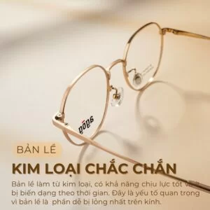 Chất liệu bản lề Agog 0726TiSSYK-C2