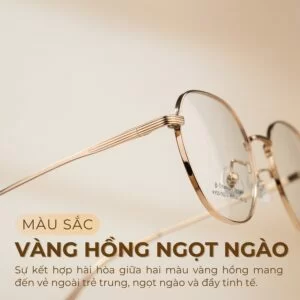 Màu sắc gọng kính Agog 0726TiSSYK-C2