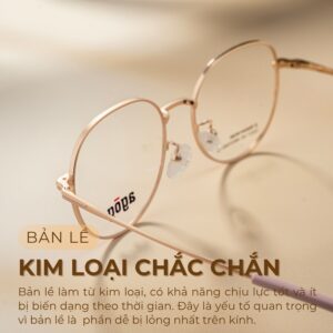 Bản lề gọng kính Agog 2006TiSJMK-C2