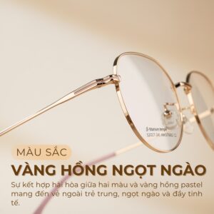 Màu sắc gọng kính Agog 2006TiSJMK-C2