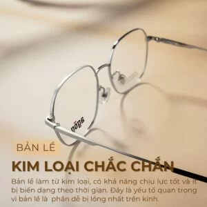 Chất liệu bản lề gọng kính Agog 6626TiSSYK-C3