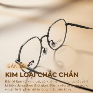 Chất liệu bản lề Agog 7626TiSSYK-C4