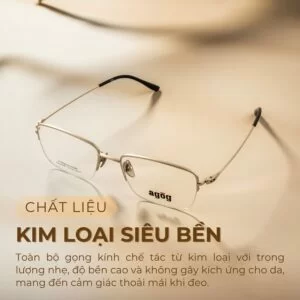 Chất liệu gọng kính Agog 7826TiSSDK-C2