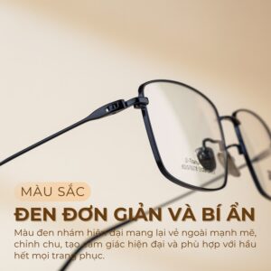 Màu sắc gọng kính Agog 8726TiSJDK-C4