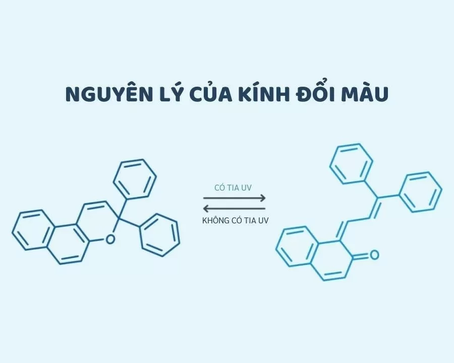 Tròng kính Transitions®: Giải pháp 2 trong 1 cho đôi mắt hiện đại (3) Nguyên lý hoạt động của tròng kính Transitions