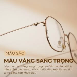 Màu vàng sang trọng