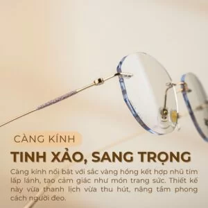 Agog Nữ - Gọng kính Titanium - Mã 7108-C3 (4) Càng kính được thiết kế tinh xảo, sang trọng