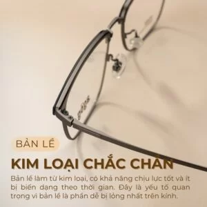 Agog Nam - Gọng kính Nhựa, Kim loại - Mã 7906ADKK-C2 (3) Bản lề kim loại chắc chắn