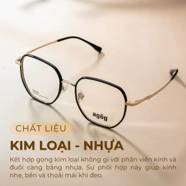Kin H Gọng kính cận nữ chính hãng, thời trang 2026: Giá, BH 1 năm