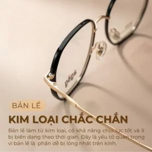 Bản lề kim loại chắc chắn